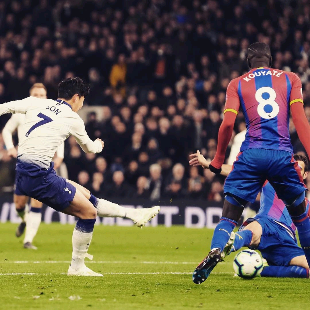 尼能够在新 尼能够在新