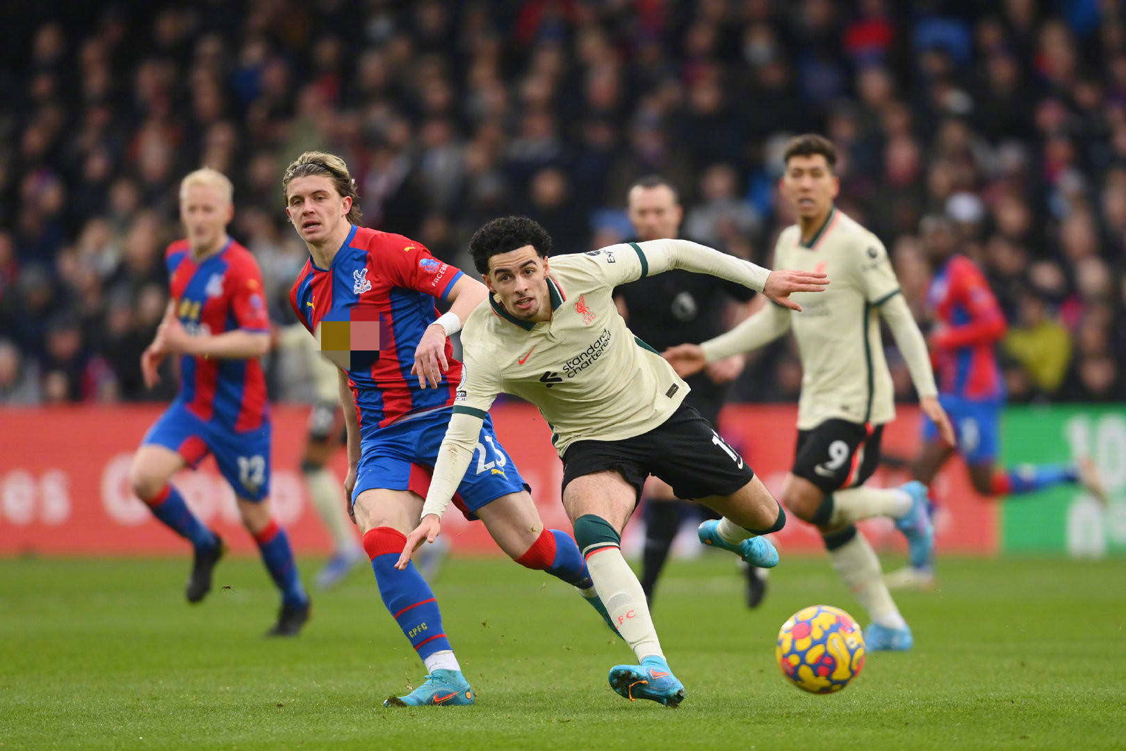 届亚冬会的 届亚冬会的