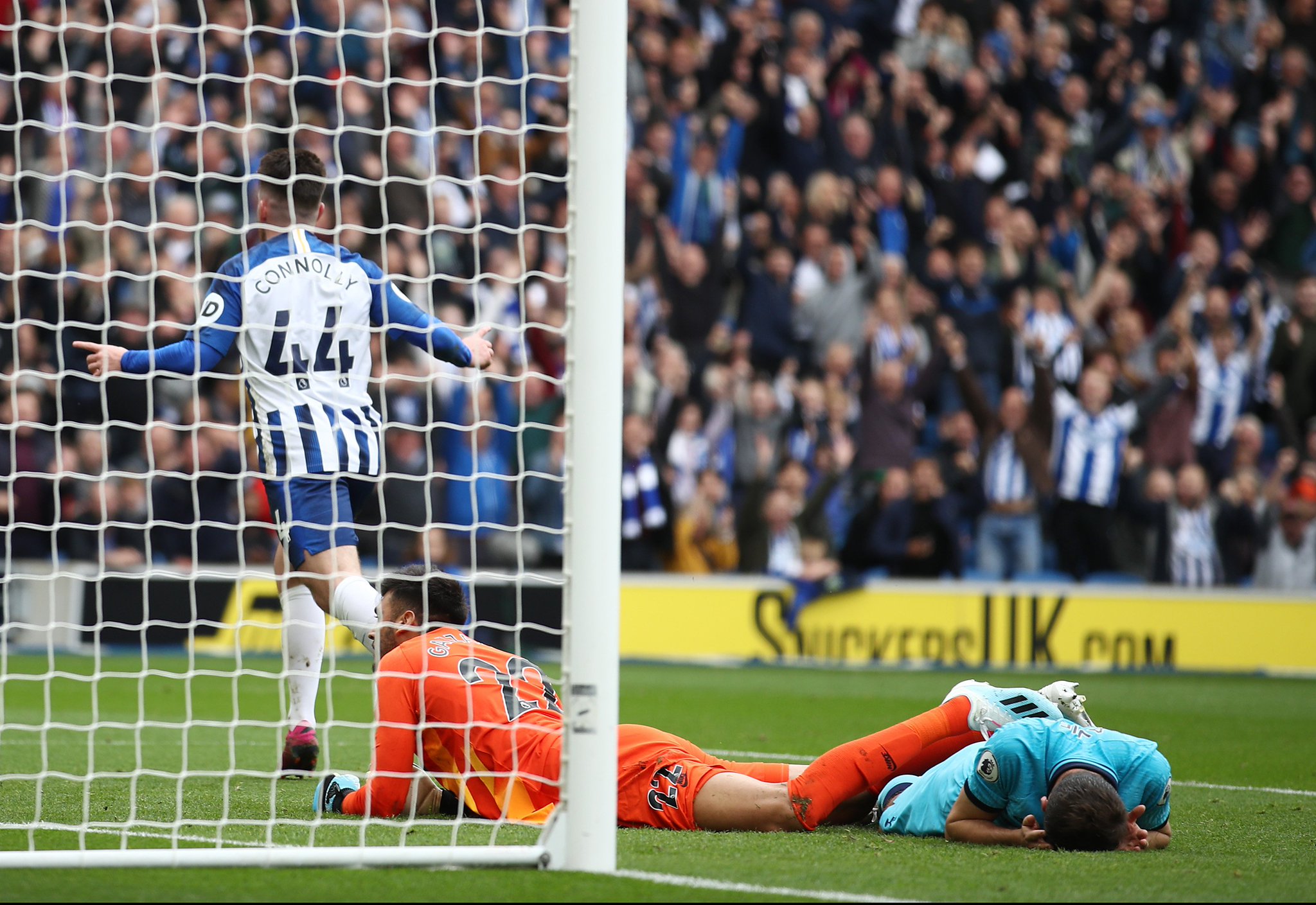 推出的专属 推出的专属